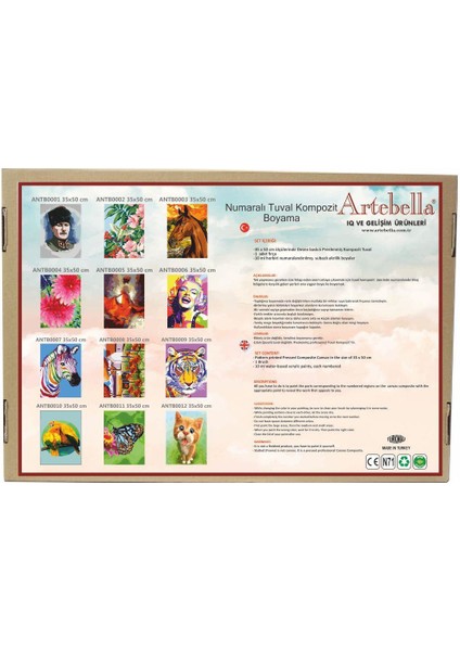 Numaralı Tuval Kompozit Boyama ANTB0004 "çiçek" 35 x 50 cm
