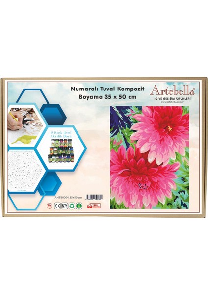 Numaralı Tuval Kompozit Boyama ANTB0004 "çiçek" 35 x 50 cm