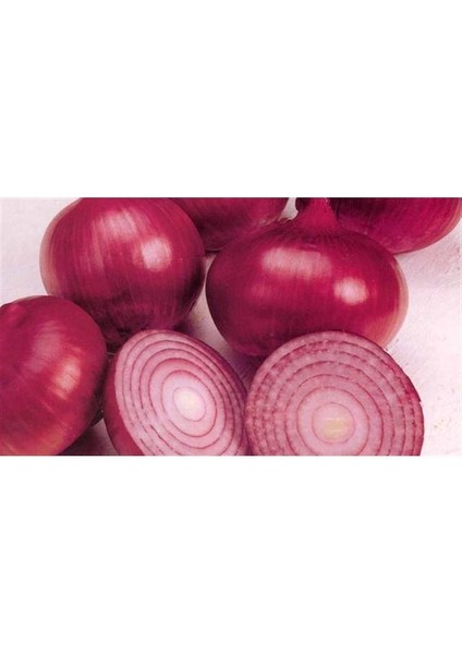 Soğan Siyah 1 kg