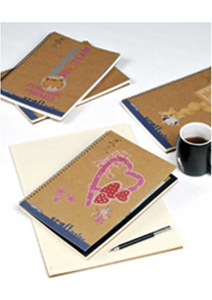 Craft Notes Spiralli Sert Kapak Defter 17 x 24 100 Yaprak Çizgili fiyatları