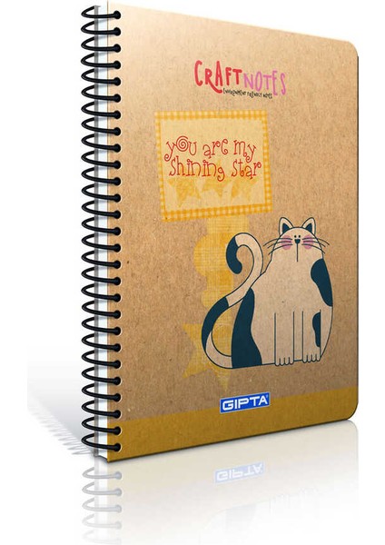 Craft Notes Spiralli Sert Kapak Defter 17 x 24 100 Yaprak Çizgili modelleri