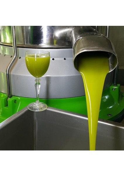 Naturel Sızma Soğuk Sıkım Zeytinyağı 1 Lt fiyatları