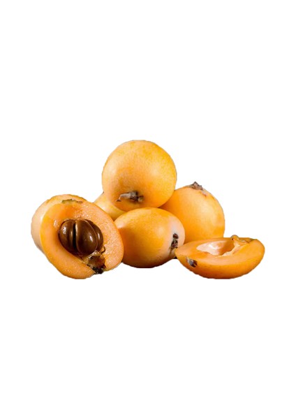 Etc.mnv.erık Malta 500 gr