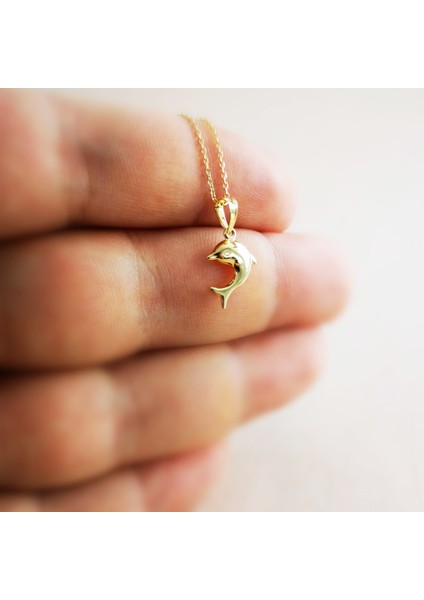 Altın Yunuslu Kolye AS1672KL fiyatları