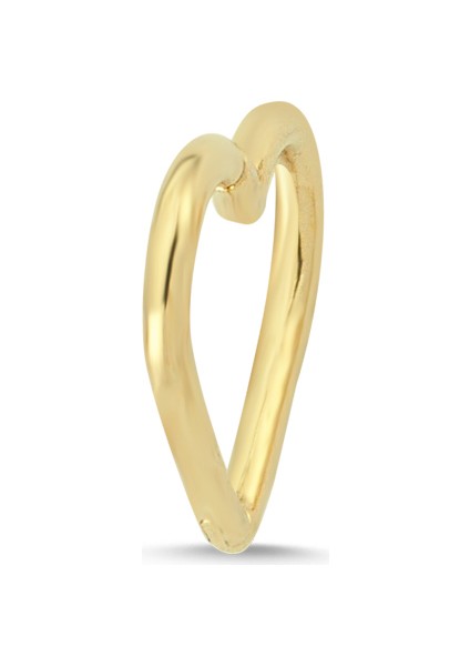 Altın Kalp Orbital Piercing AS73PC fiyatları