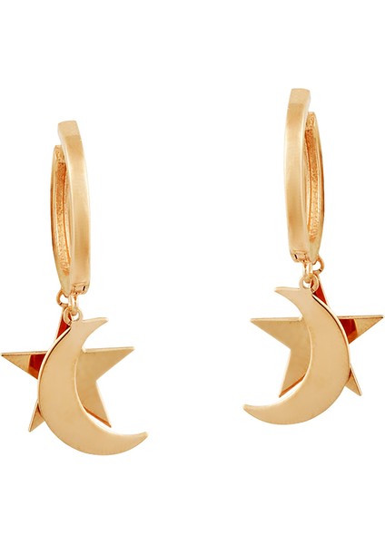 Rose Gümüş Ayyıldız Küpe AS20074F21