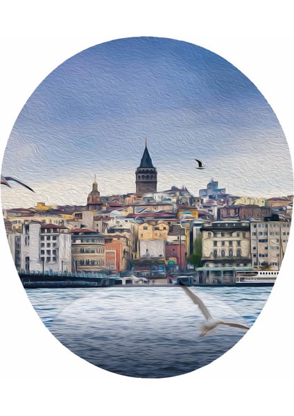 Istanbul Eminönü Galata Kulesi ve Martılar Görselli - Bilek