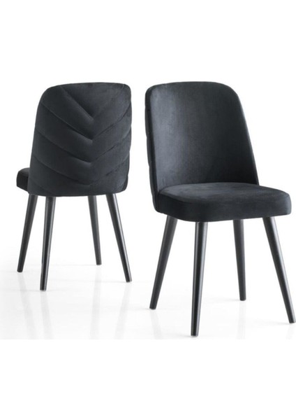 Modern Yemek Odası Mutfak Sandalyesi Venedik 2'li Set