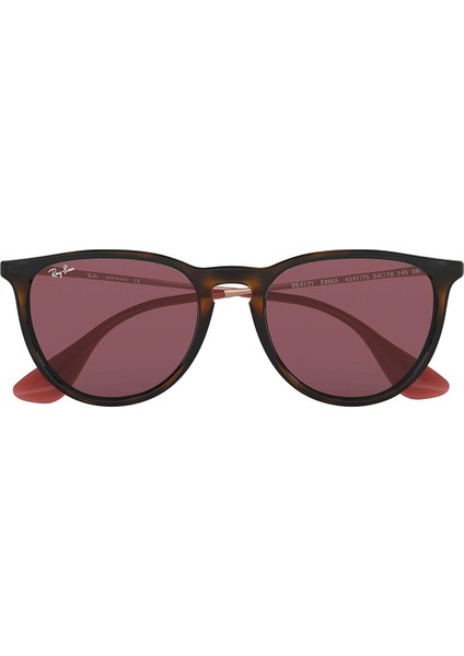 Rb4171 6391/75 54 Unisex Güneş Gözlüğü Erika fiyatları