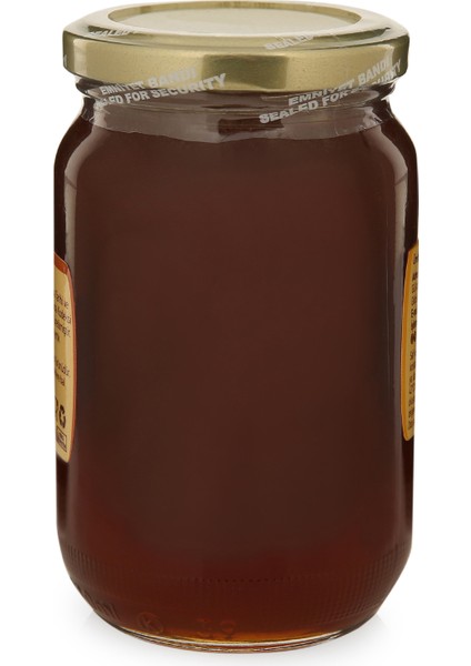 Süzme Çam Balı 460GR fiyatları