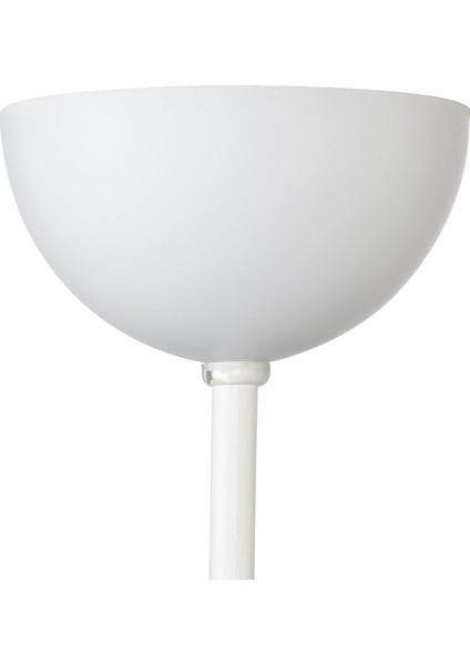 Rozans Kapağı Beyaz 100'lü fırsatları