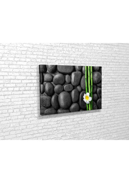 Bambu ve Spa Taşları Kanvas Tablo
