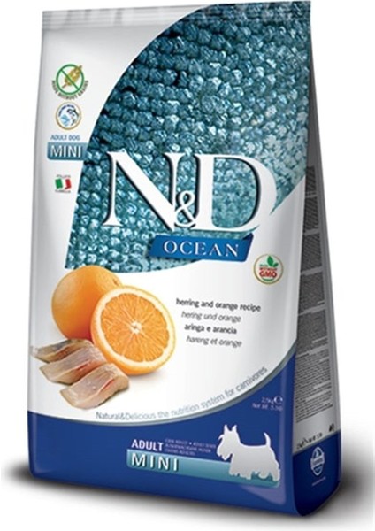 Ocean Balıklı Küçük Irk Tahılsız Yetişkin Köpek Maması 2.5 kg