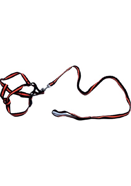 Esnek Yumuşak Doku Köpek Göğüs Tasma Takım 2X34-52 cm