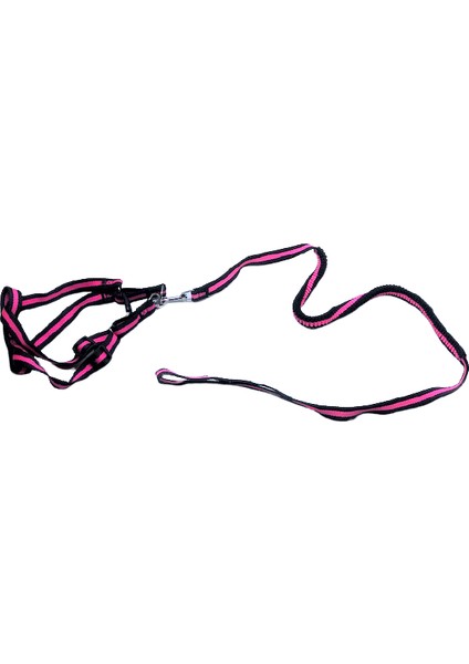 Esnek Yumuşak Doku Köpek Göğüs Tasma Takım 2X34-52 cm