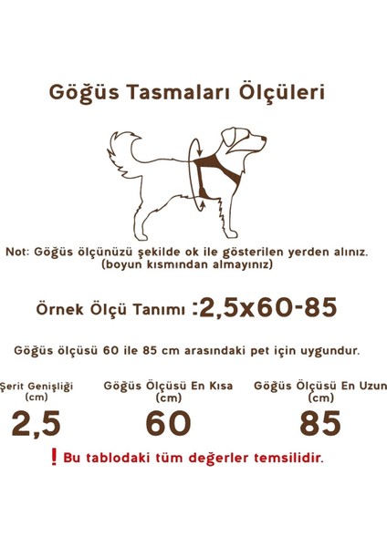 Köpek Boyun & Göğüs Tasma Takım Small