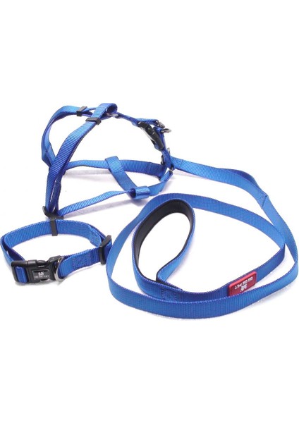 Köpek Boyun & Göğüs Tasma Takım Large