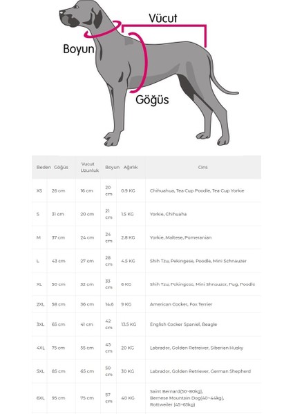 Köpek Boyun & Göğüs Tasma Takım Large fiyatları