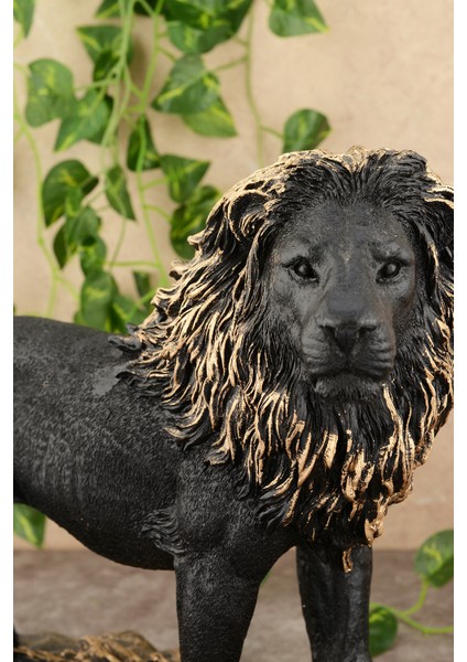 Aslan Biblo Obje fiyatları