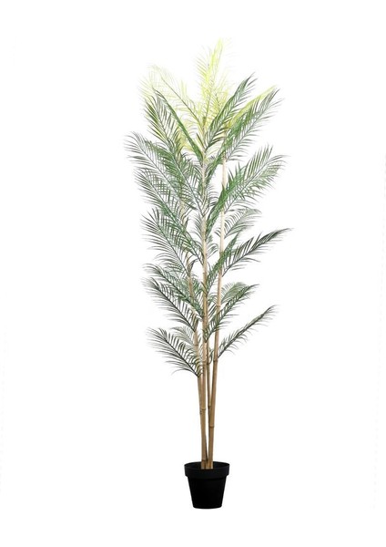 Yapay Ağaç 4 Gövdeli Palmiye Ağacı 180 cm 1.kalite Yapay Çiçek
