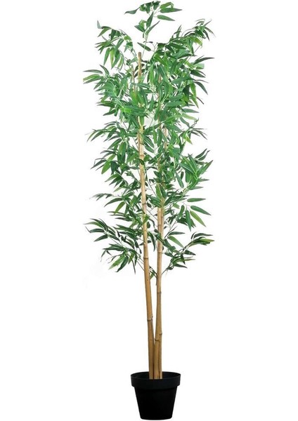 Yapay Ağaç 4 Gövdeli Bambu Ağacı 185 cm 1.kalite Yapay Çiçek
