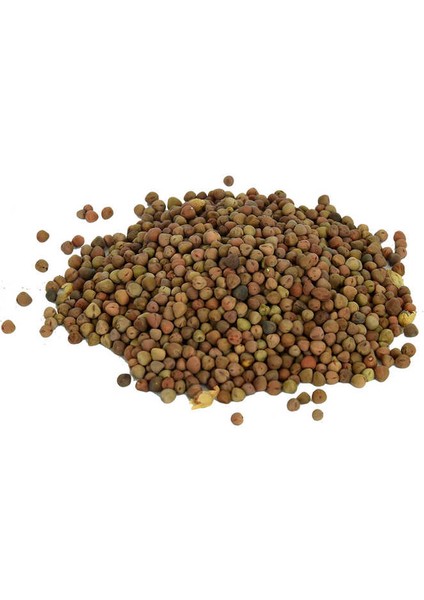 Doğal Burçak Tohumu 100 gr Paket