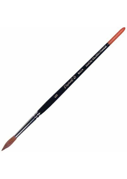 Samur Kılı Kolinski 8404 0