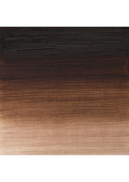 Winton Yağlı Boya 37 ml N:676 Vandyke Brown