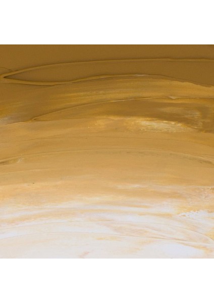 Rive Gauche Fine Yağlı Boya 40 ml N:252 Yellow Ochre fiyatları