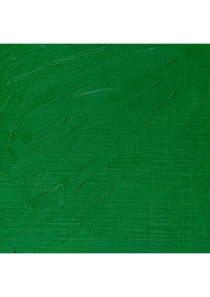 Artists Yağlı Boya 37 ml Seri 2 Permanent Green Light fiyatları