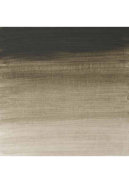 Artists Yağlı Boya 37 ml Seri 2 Davy's Gray