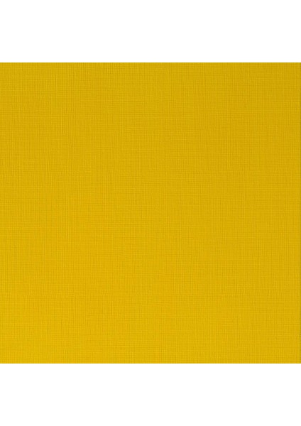 Profesyonel Akrilik Boya 60 ml Seri 2 N:019 Azo Yellow Medium fiyatları