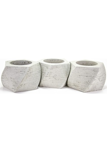 Beton Sukulent Saksı 3'lü Set ( Çiçek Dahil) fiyatları