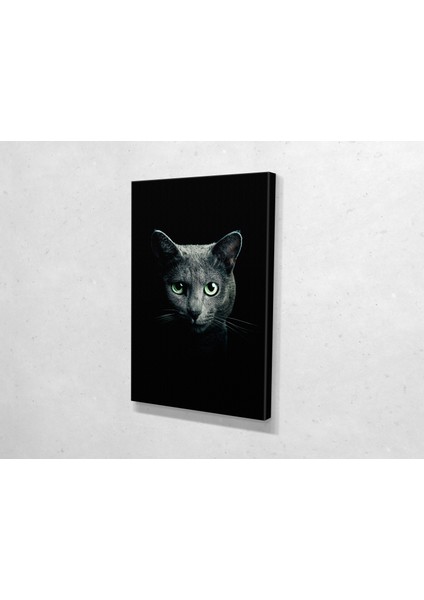 Kara Kedi Kanvas Tablo fiyatları