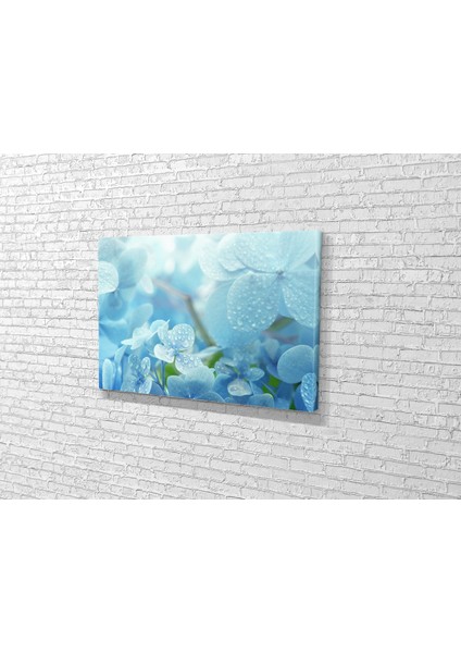 Çiğ Vakti Ortanca Çiceği Kanvas Tablo fiyatları