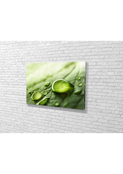 Su Damlası Kanvas Tablo modelleri