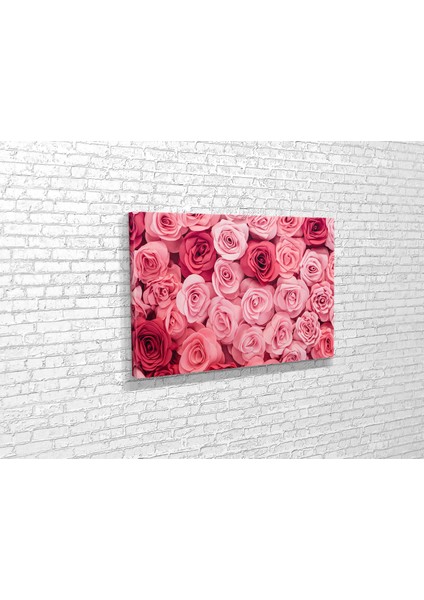 Pembe Güller Kanvas Tablo