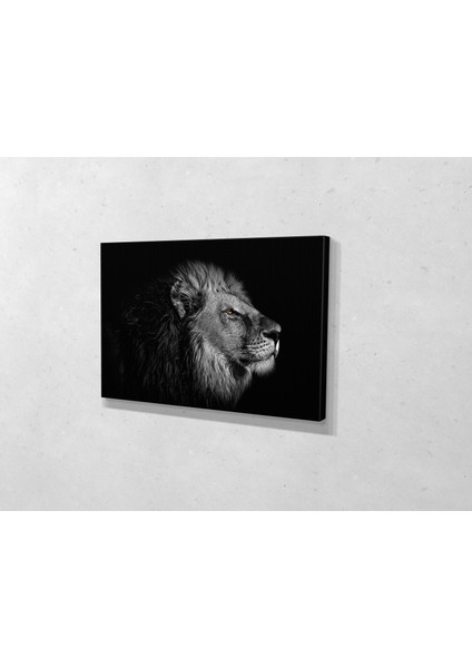 Aslan Kanvas Tablo