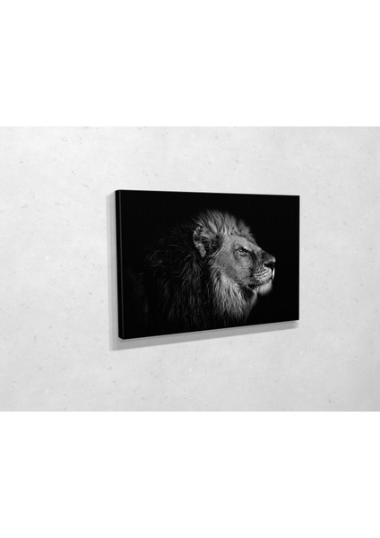 Aslan Kanvas Tablo