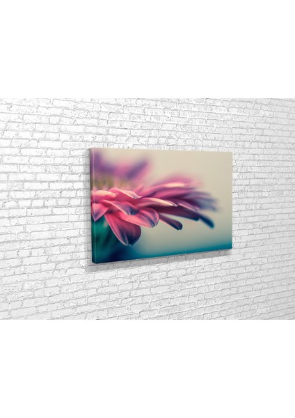 Gerbera Çiceği Kanvas Tablo modelleri