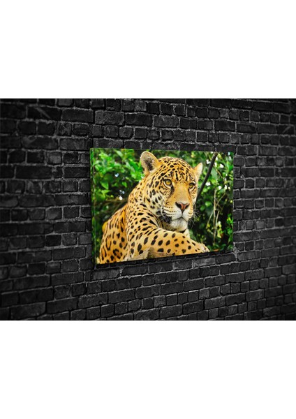 Leopar Kanvas Tablo fiyatları