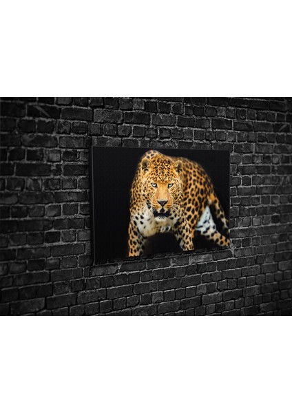 Leopar Kanvas Tablo