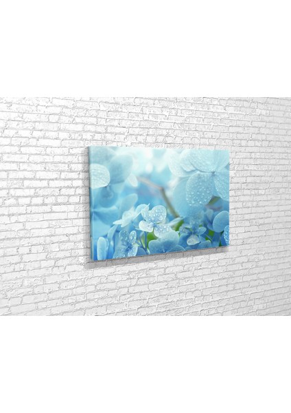 Çiğ Vakti Ortanca Çiceği Kanvas Tablo