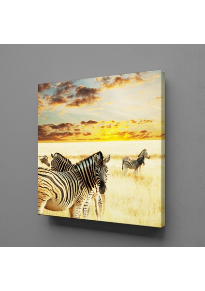 Zebra 25 x 25 cm Tablo