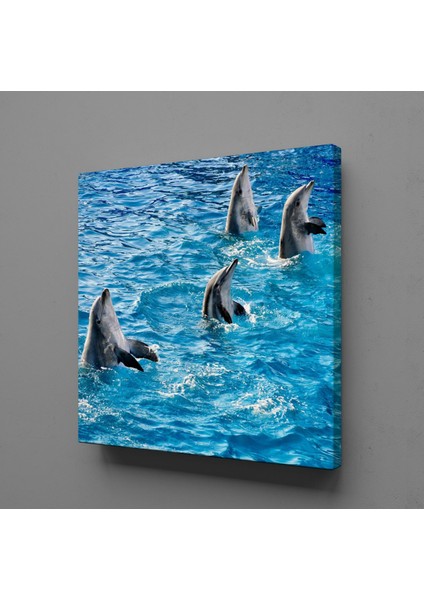 Yunus Balıklar 25 x 25 cm Tablo