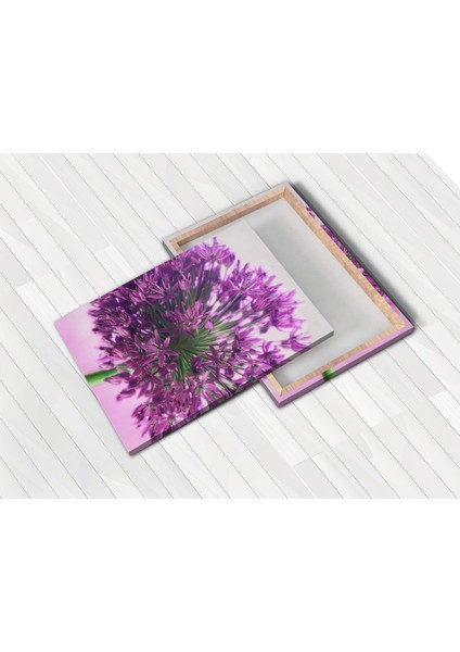 Yunus Balıklar 25 x 25 cm Tablo