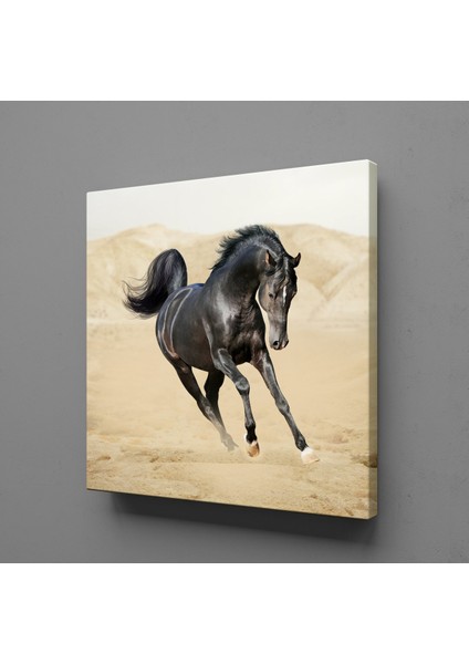 Koşan Siyah At 200 x 200 cm Tablo