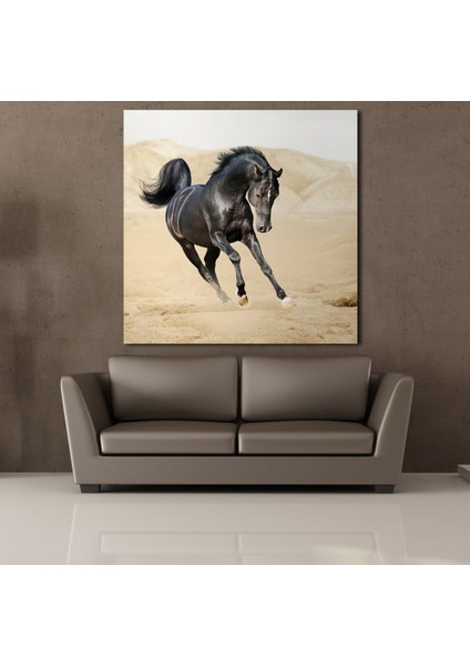 Koşan Siyah At 200 x 200 cm Tablo
