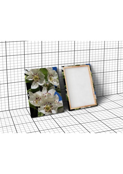 Koşan Siyah At 200 x 200 cm Tablo