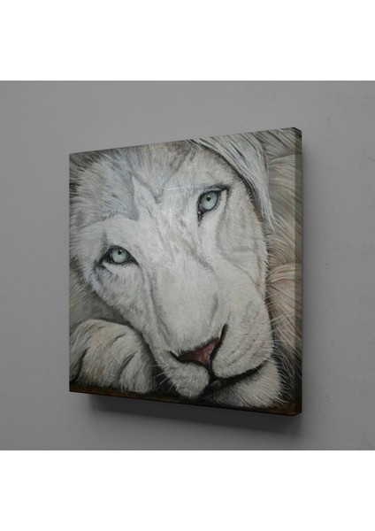 Beyaz Aslan 70 x 70 cm Tablo